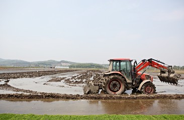 Fototapeta premium 농촌의모습입니다