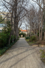 Botanical Garden (Fuveszkert) in Budapest