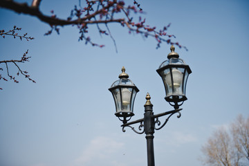 Fototapeta na wymiar Vintage old electric street light against the blue sky,