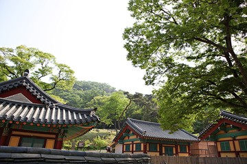 전등사에가면볼수있는것