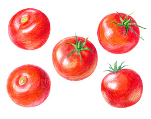 Set of tomatoes hand-drawing with colored pencils. Isolated elements on a white background. Stock illustration.