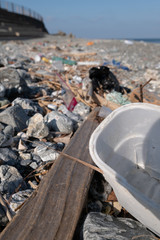 海岸に漂着したゴミ