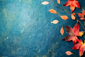 Foto op Canvas Fall red leaves on blue background. Top view © lblinova