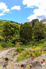 Fototapeta na wymiar Wellington Botanic Garden, New Zealand