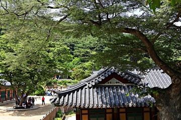 전등사둘레길입니다