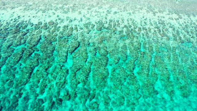 beautiful fringing coral reef southern Japan, Amami Oshima Island. Turquoise crystal clear sea water