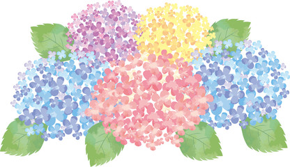 紫陽花：花　6月　梅雨　紫陽花　あじさい　和風　背景　ワンポイント