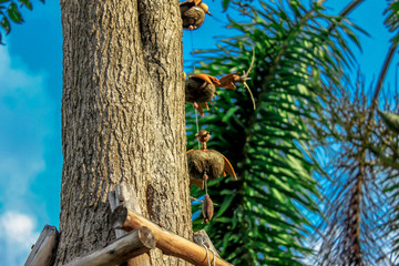 A blurry abstract background view of green leaves that grow up the streets or in the park, for a refreshing view during the day