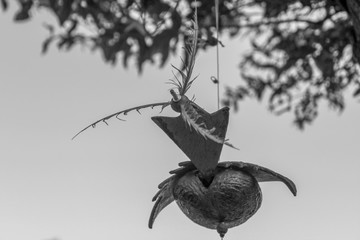 The background of wooden decorations, hanging on the fence, with the blurring of the wind.