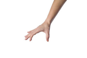 female hand holds something. Isolated