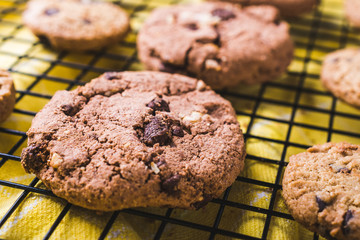 Homemade sweet chocolate chip cookies