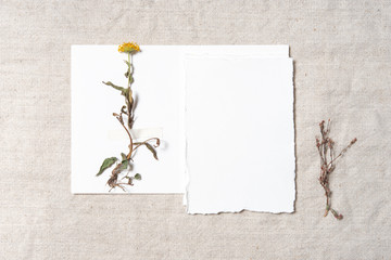 Wedding invitation mockup with dry plants , papers on textile background. Top view, flat lay. Wedding stationary. Perfect for presentation of your invitation, menu, greeting cards. Herbarium concept