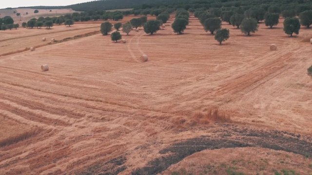 Rural Italian countryside outside Rome, Italy. Aerial drone view