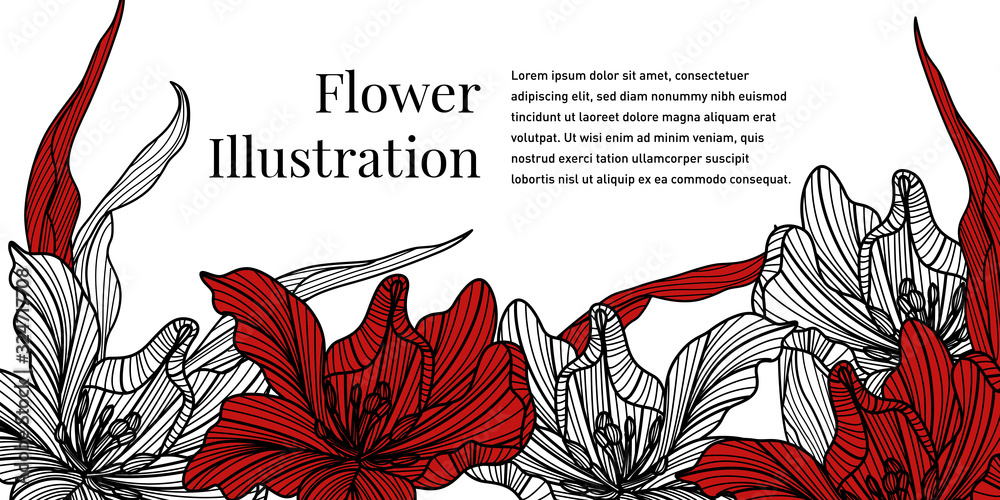 Wall mural Beautiful Flower Illustration Design