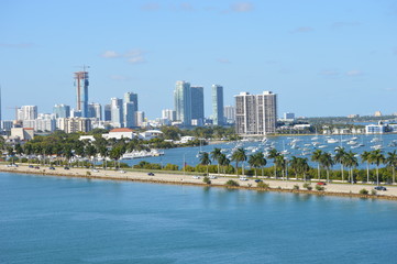 Miami Landscape