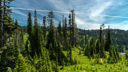 Mt Mount Rainier National Park, Washington
