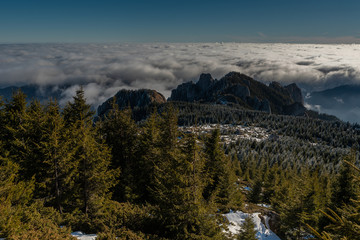 Trees on the mountaintop with dense fog at the base on Mount Ceahlau - Romania