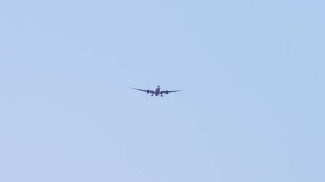 飛行機