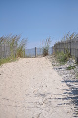 Sand Beach path