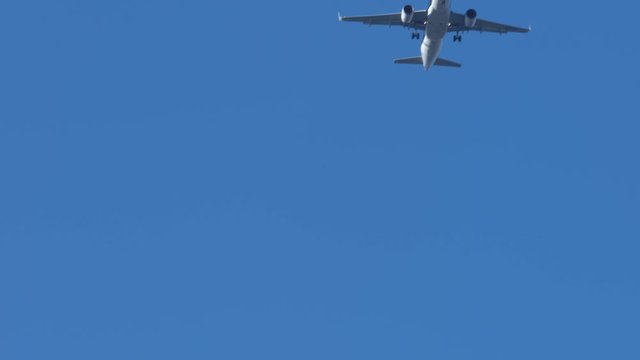 飛行機
