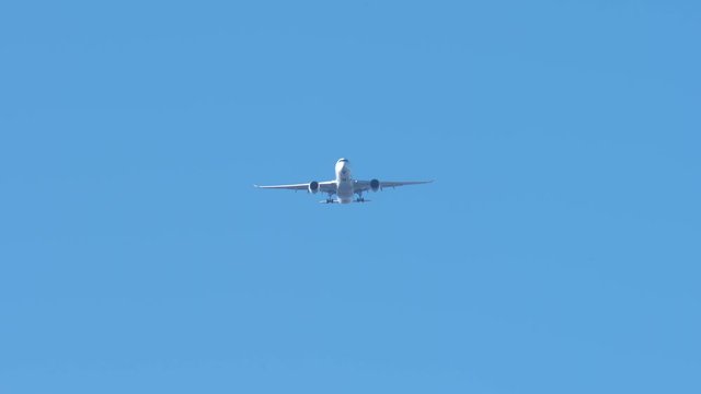飛行機