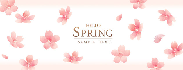 水彩の春の花　桜のベクターイラスト　Elegant Spring Flowers Vector illustration Background