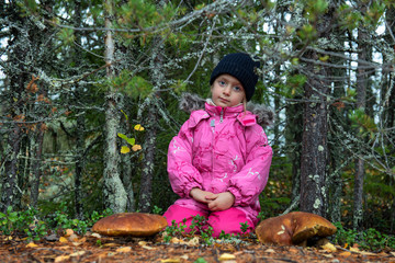 Cute little girl picking mushrooms in autumn forest, kids outdoor activities