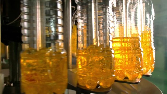 Sunflower oil in the bottle moving on production line.