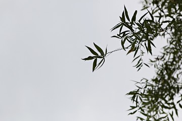 안산호수공원입니다