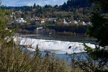 Willamette Falls 5