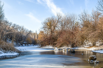 Trees on the shore of a frozen lake in a city park. Landscape.