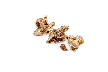 Gnawed bones of a cow on a white background.