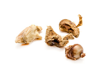 Gnawed bones of a cow on a white background.