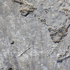 Stone/Rock Texture