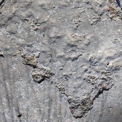 Stone/Rock Texture
