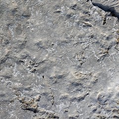 Stone/Rock Texture
