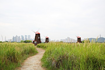 소래습지생태공원입니다