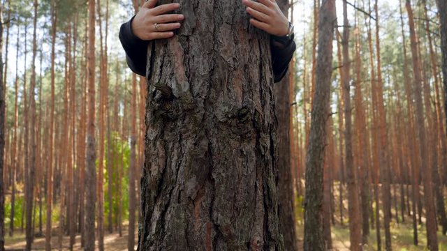 4k video of female environmentalist hugging and embracing high fir tree in forest