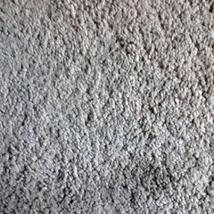 Carpet Texture
