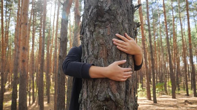 4k video of beautiful smiling young woman hugging and embracing big fir tree in the forest. Concept of people loving and protecting nature
