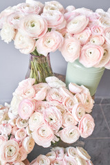 Spring background, flower Wallpaper. Persian buttercup. Bunch pale pink ranunculus flowers on light gray background. Glass vase on vintage wooden table. Wallpaper