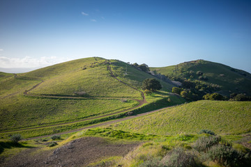 landscape in nature