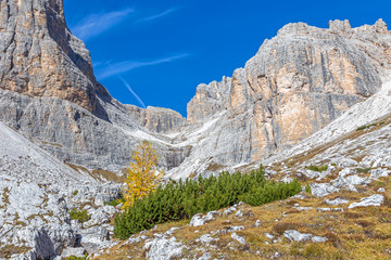 Am Osthang des Paternkofel, Dolomiten, Südtirol