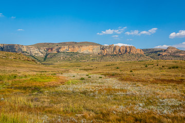 Colorful grass field in Golden Gate National Park