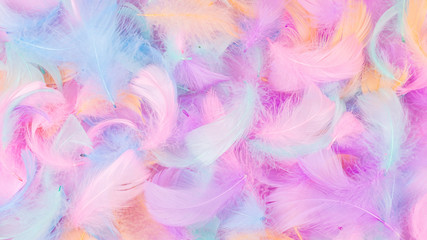 Fototapeta na wymiar Colorful feather background