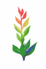 colorful leaf  on white background