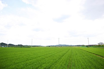 여행다니며찍은사진