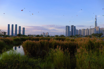 Fototapeta na wymiar Amazing landscape of Ho Chi Minh city, many kites flying on sunset sky, high rise building reflect on water, reeds flowers at foreground