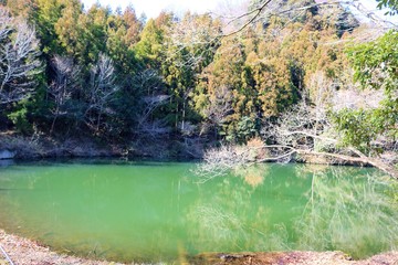 砂防ダム池　山　春　風景　杤木