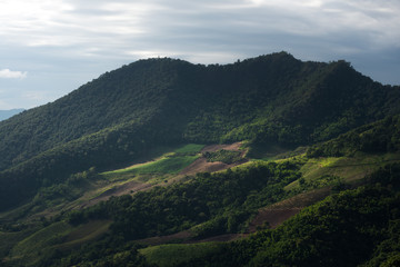 The scenery of the mountains and hill on the way to Pha Tang and Phu Chi Fah in Chiang Rai, Thailand.